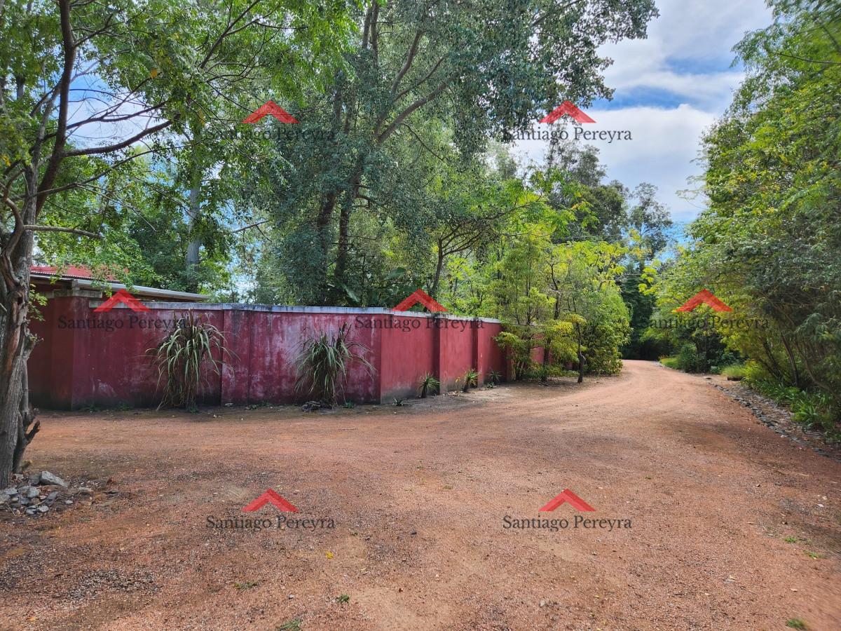 Chacra ID.17050 - Venta chacra tipo quinta, Punta Ballena 