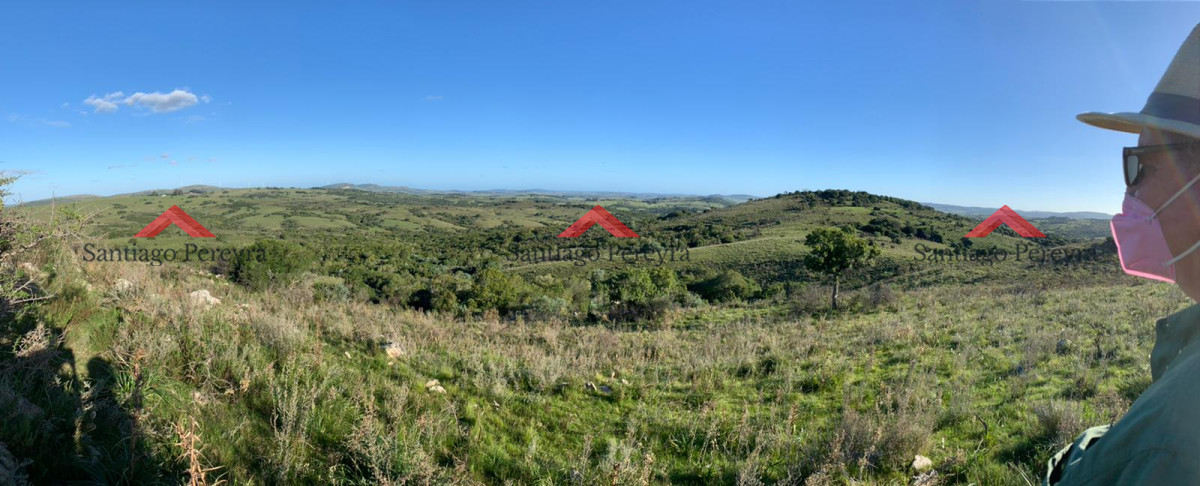 Chacra ID.8337 - Venta chacra Sierra de los Caracoles 