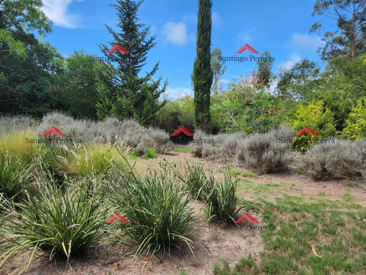 Chacra ID.17050 - Venta chacra tipo quinta, Punta Ballena 
