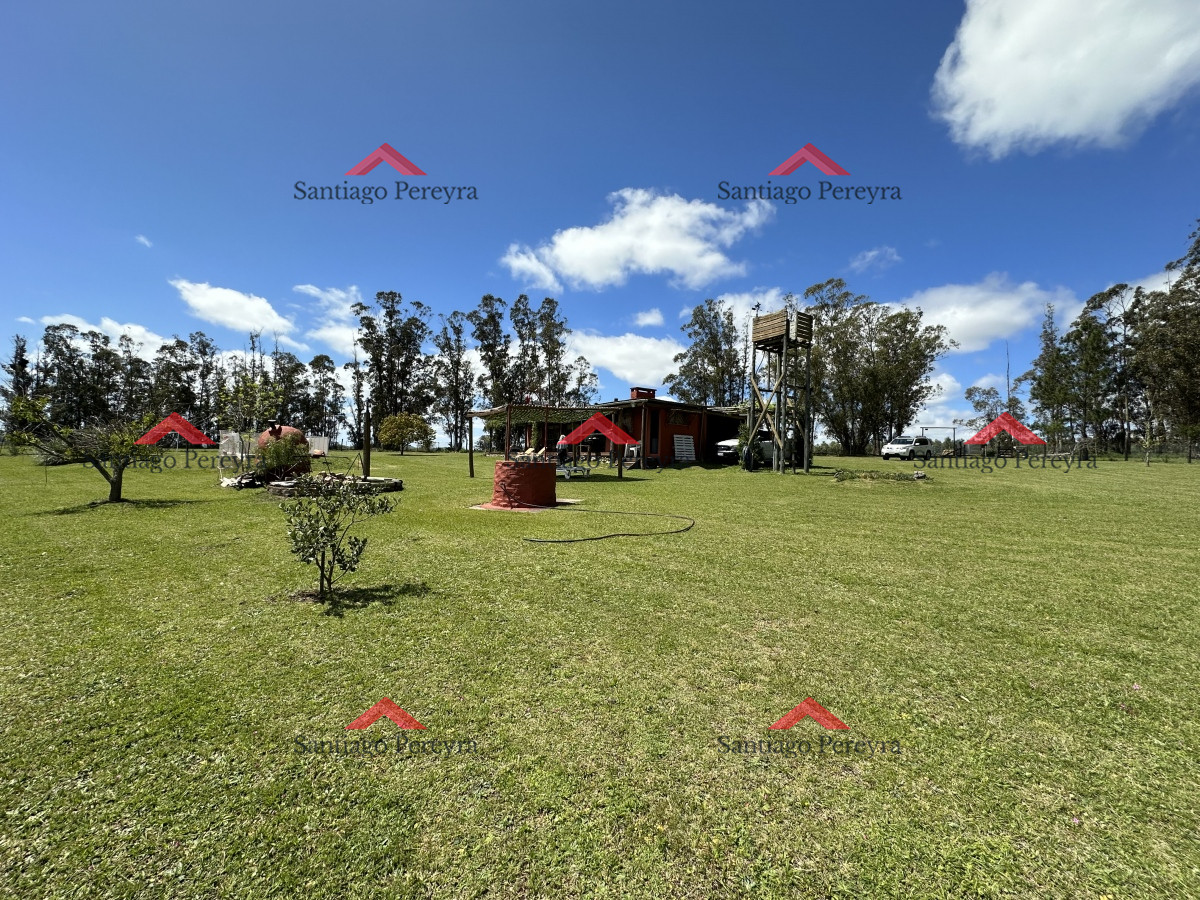 Venta chacra Maldonado Uruguay - GoPunta - Portal Inmobiliario de Punta del Este - Maldonado