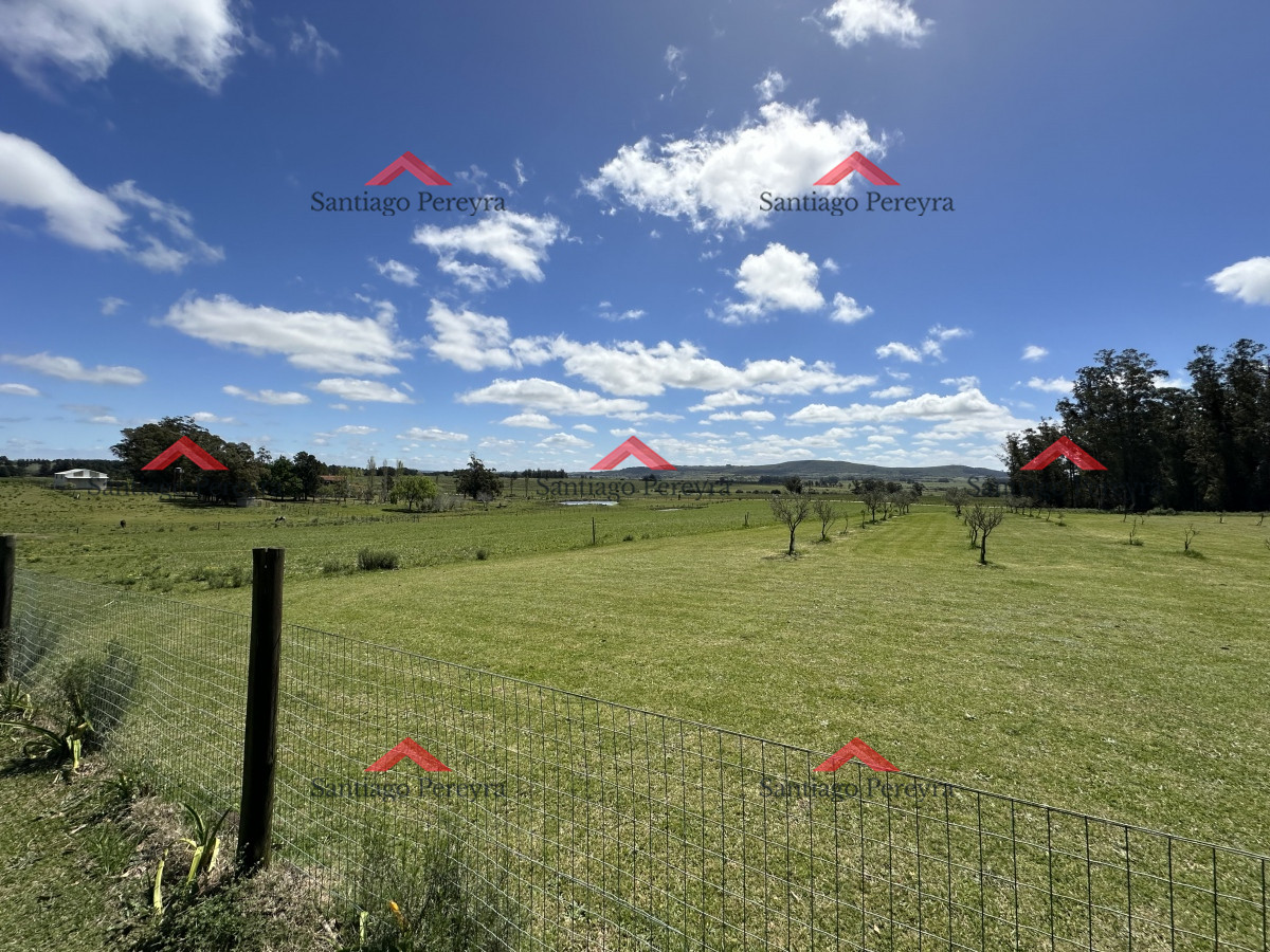 Chacra ID.14563 - Venta chacra Maldonado Uruguay