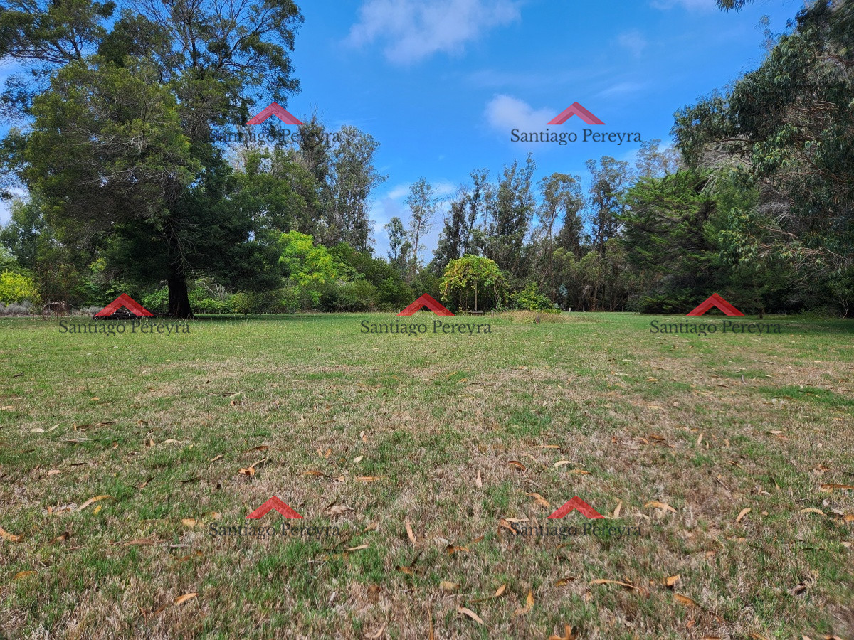Chacra ID.17050 - Venta chacra tipo quinta, Punta Ballena 