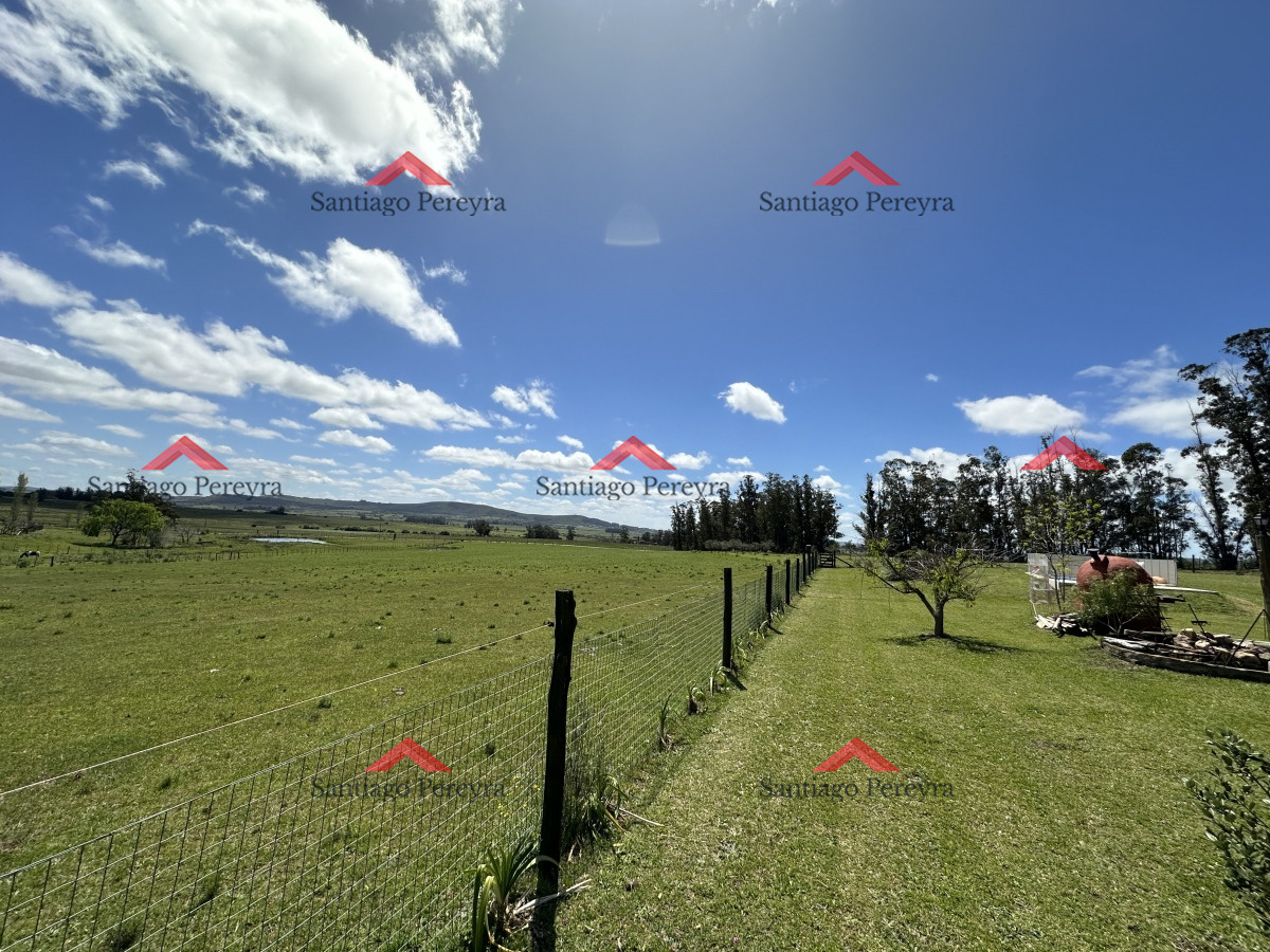 Venta chacra Maldonado Uruguay - GoPunta - Portal Inmobiliario de Punta del Este - Maldonado