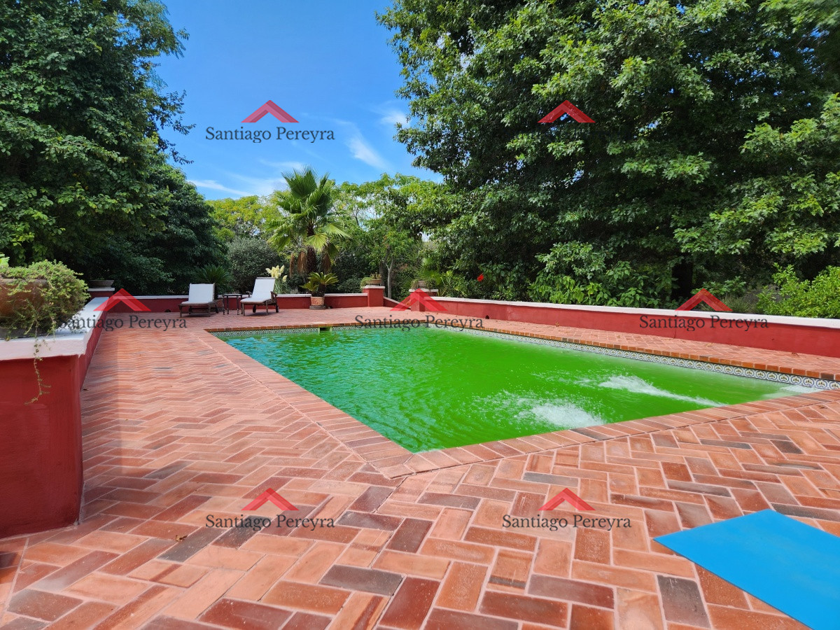 Chacra ID.17050 - Venta chacra tipo quinta, Punta Ballena 
