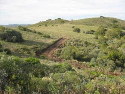 Venta chacra Sierra de los Caracoles 