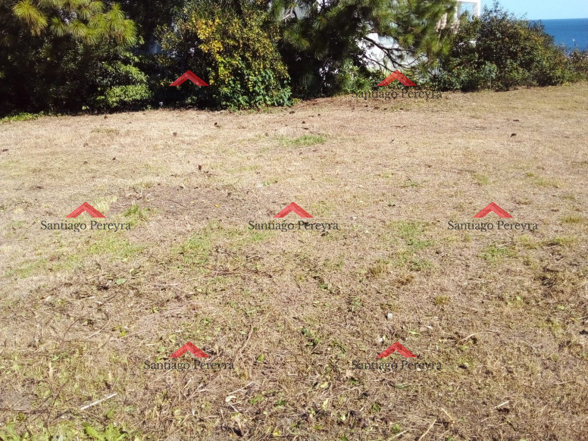 Terreno ID.8556 - Terreno en lomo Punta Ballena