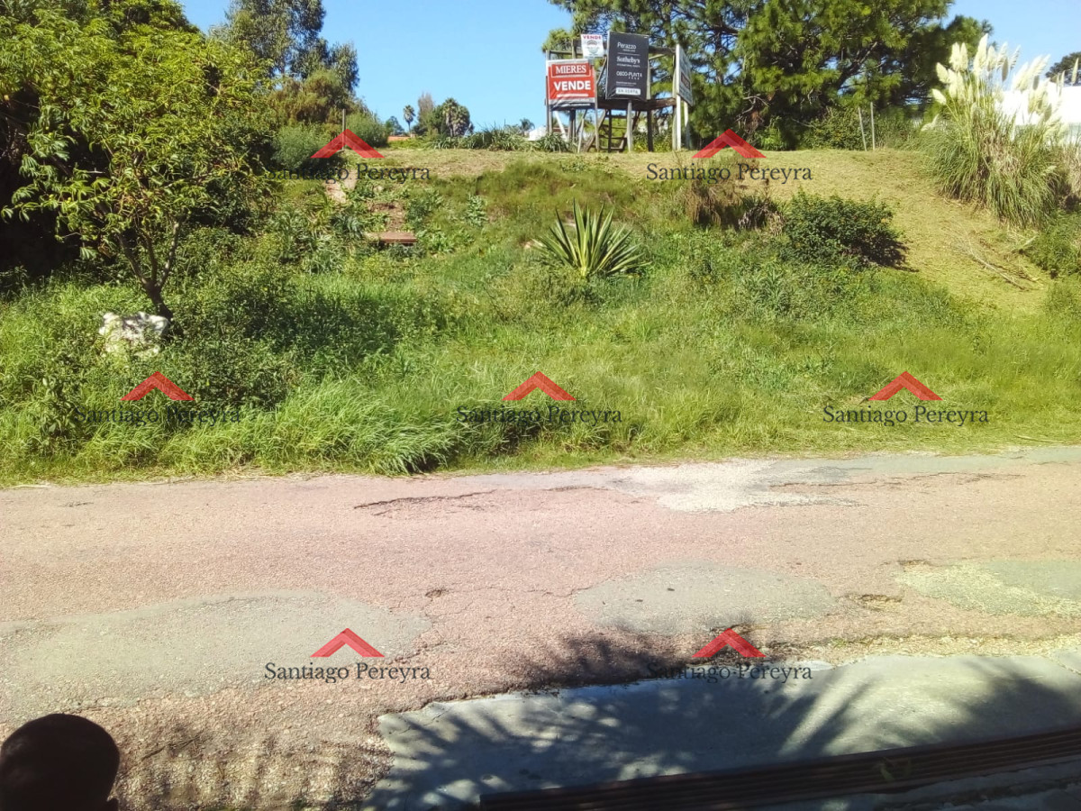 Terreno ID.8556 - Terreno en lomo Punta Ballena