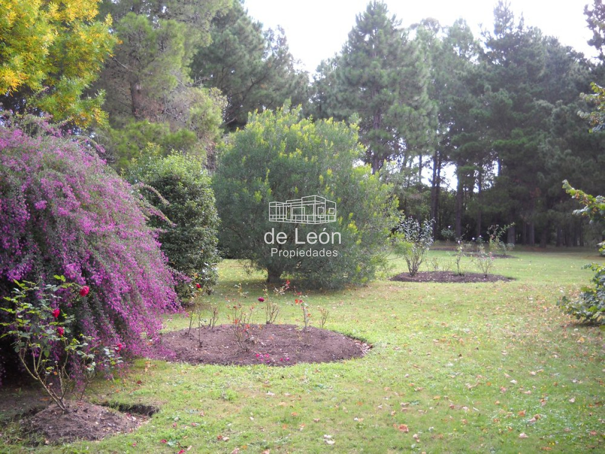 Chacra ID.15136 - Venta chacra Punta del Este 