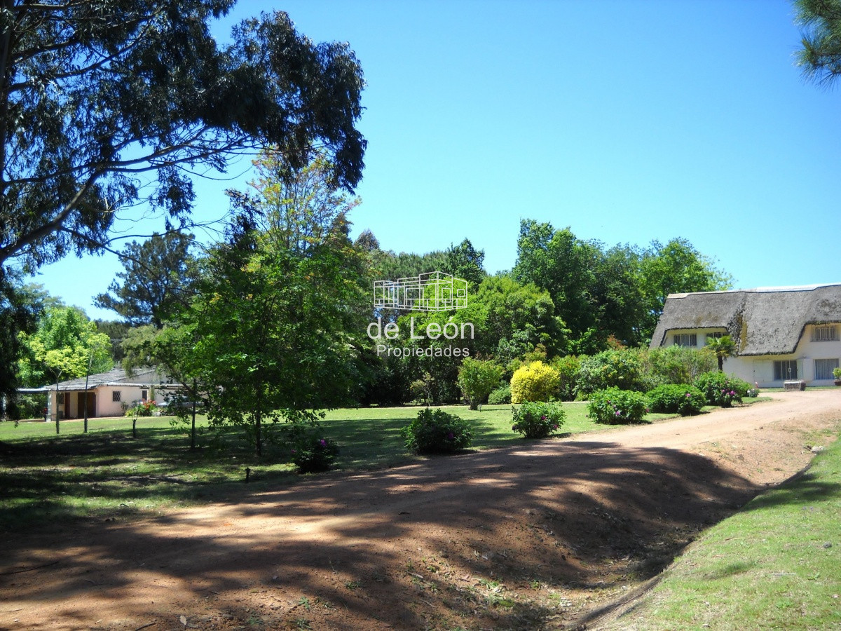 Chacra ID.15136 - Venta chacra Punta del Este 