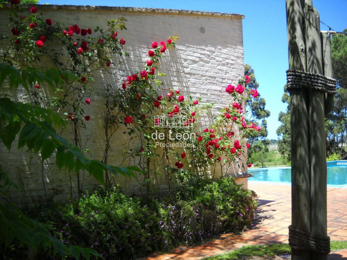 Chacra ID.15136 - Venta chacra Punta del Este 