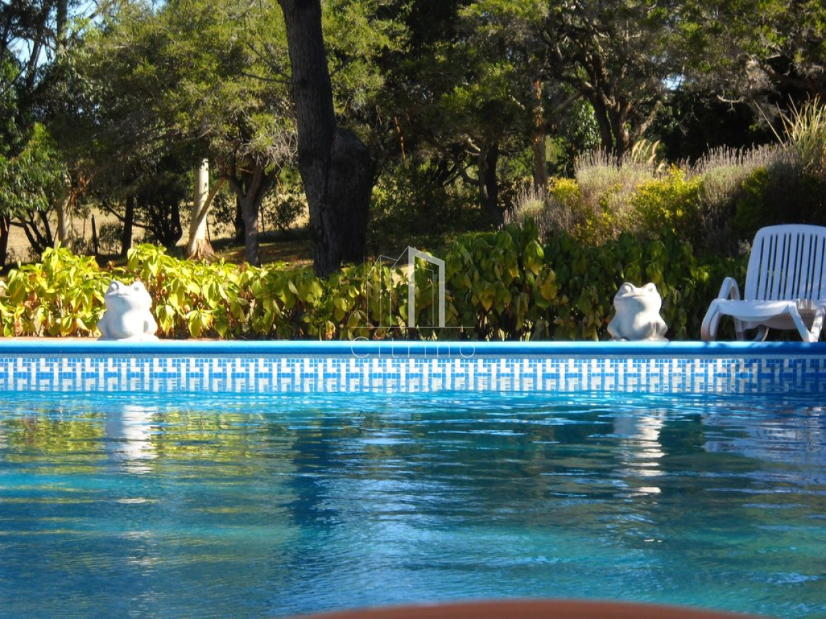 Chacra ID.1350 - Venta chacra Punta del Este 