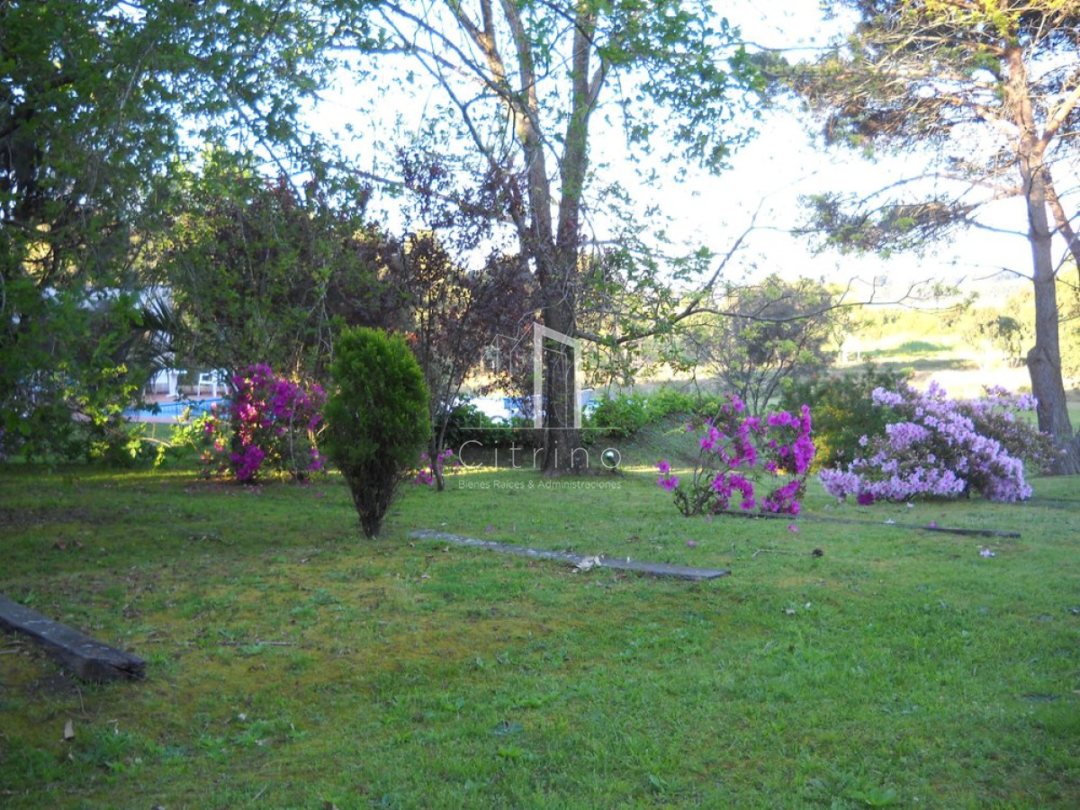 Chacra ID.1350 - Venta chacra Punta del Este 