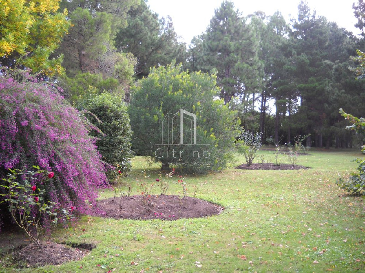 Chacra ID.1350 - Venta chacra Punta del Este 