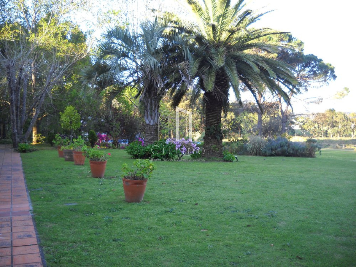 Chacra ID.1350 - Venta chacra Punta del Este 