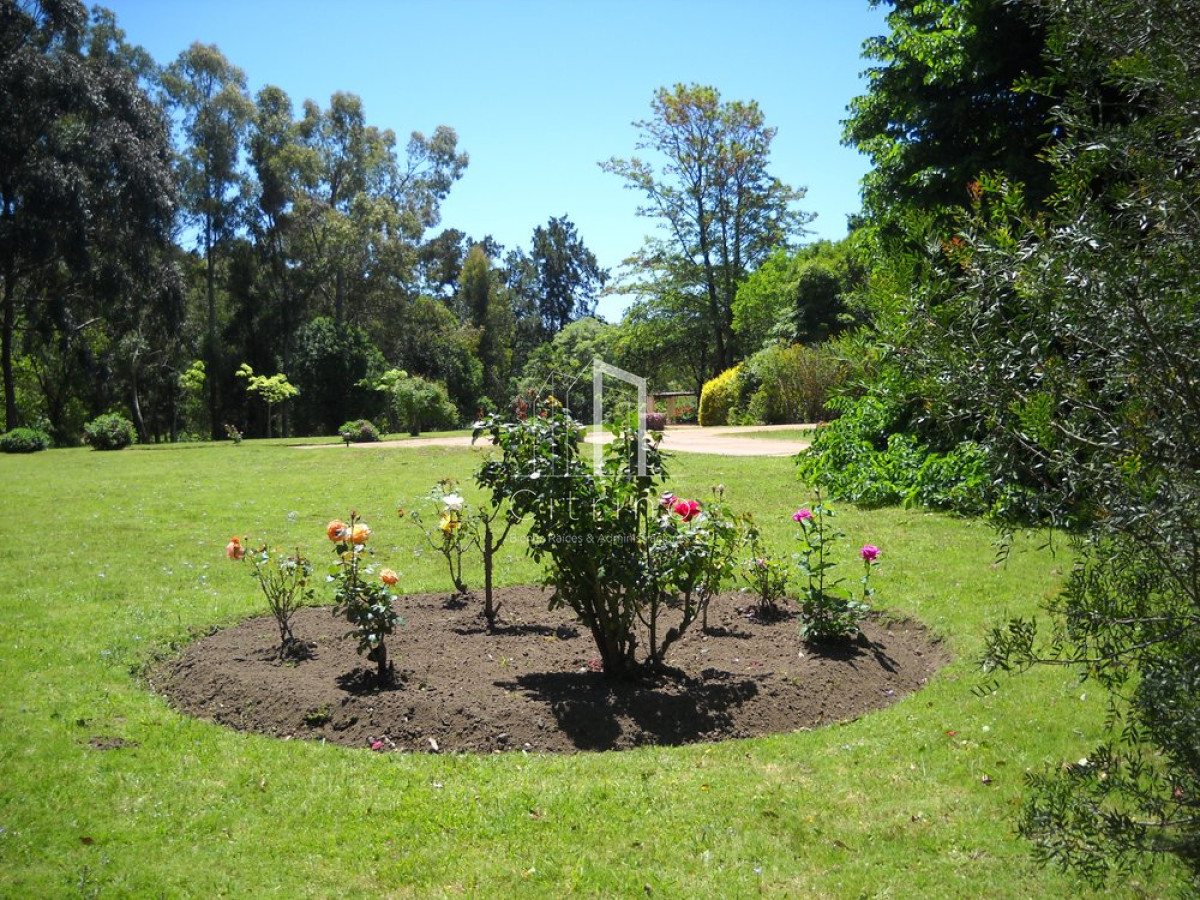 Chacra ID.1350 - Venta chacra Punta del Este 