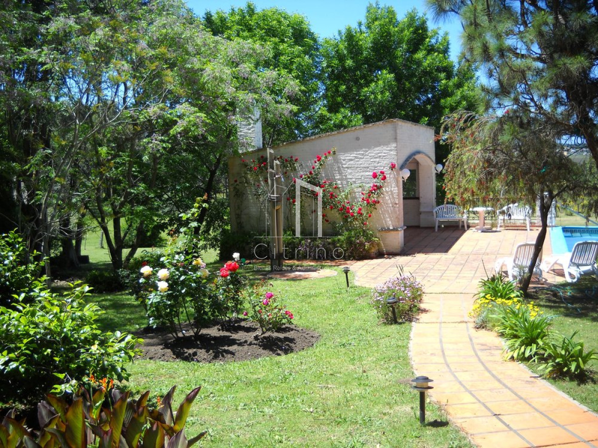 Chacra ID.1350 - Venta chacra Punta del Este 