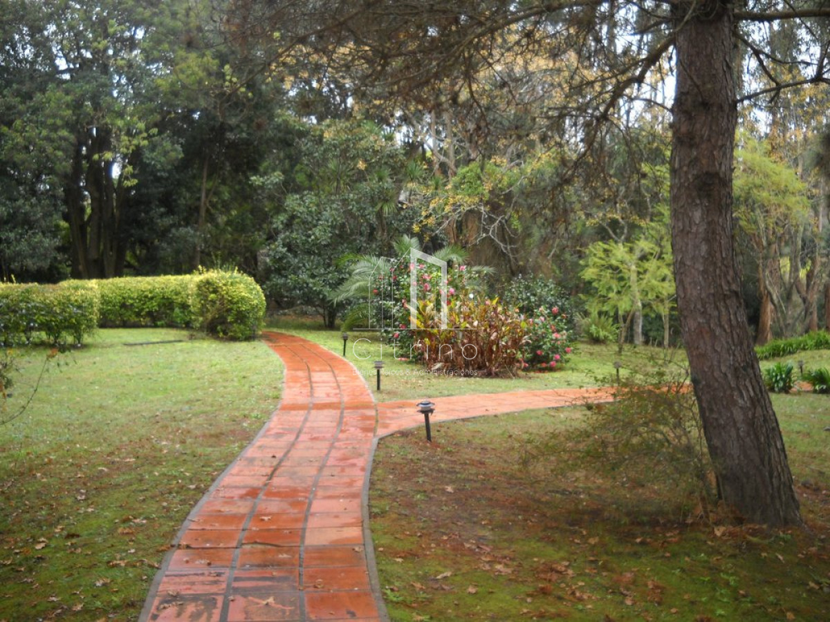 Chacra ID.1350 - Venta chacra Punta del Este 