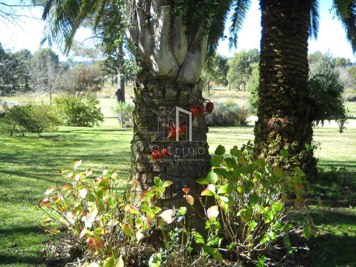 Chacra ID.1350 - Venta chacra Punta del Este 