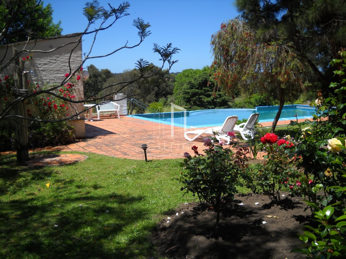 Chacra ID.1350 - Venta chacra Punta del Este 