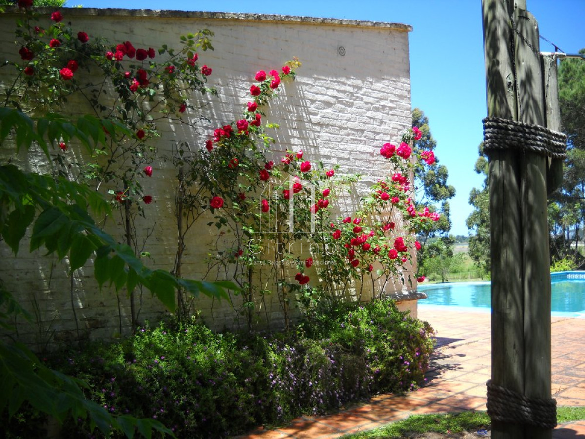 Chacra ID.1350 - Venta chacra Punta del Este 
