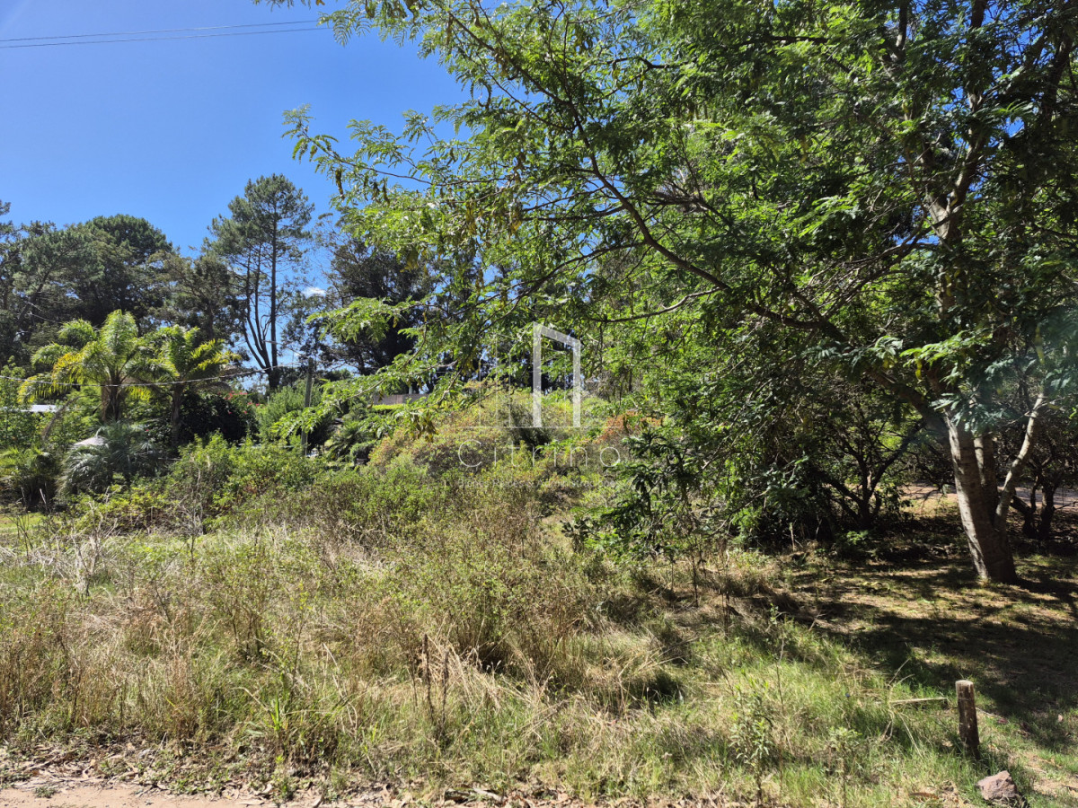 Terreno ID.2244 - Lote ocean parck