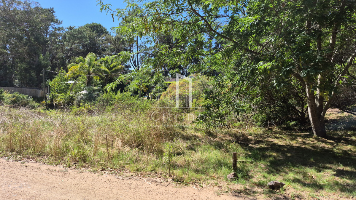 Terreno ID.2244 - Lote ocean parck