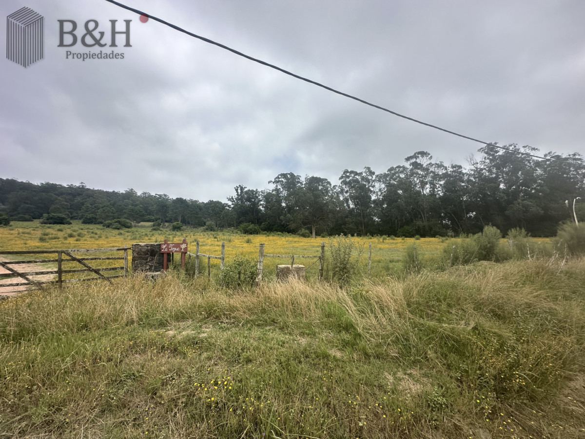 Chacra ID.7179 - Venta chacra en zona La Pataia Punta Ballena 
