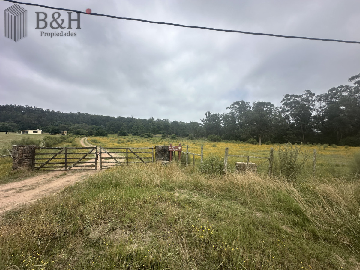 Chacra ID.7179 - Venta chacra en zona La Pataia Punta Ballena 