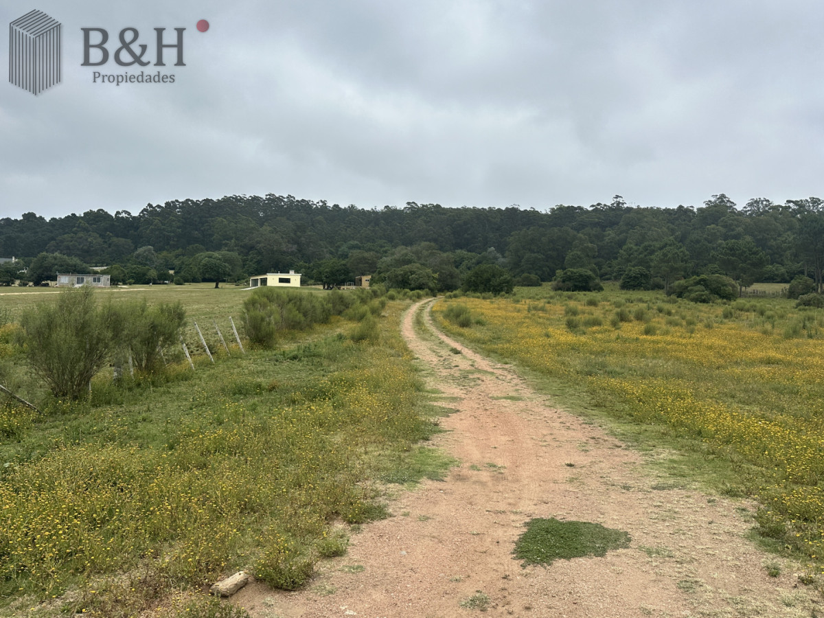 Chacra ID.7179 - Venta chacra en zona La Pataia Punta Ballena 