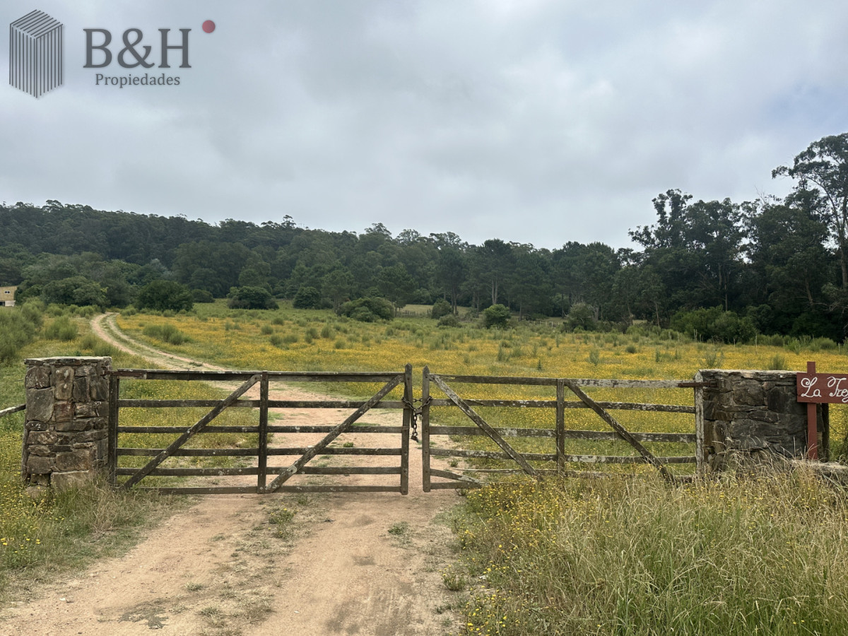 Chacra ID.7179 - Venta chacra en zona La Pataia Punta Ballena 
