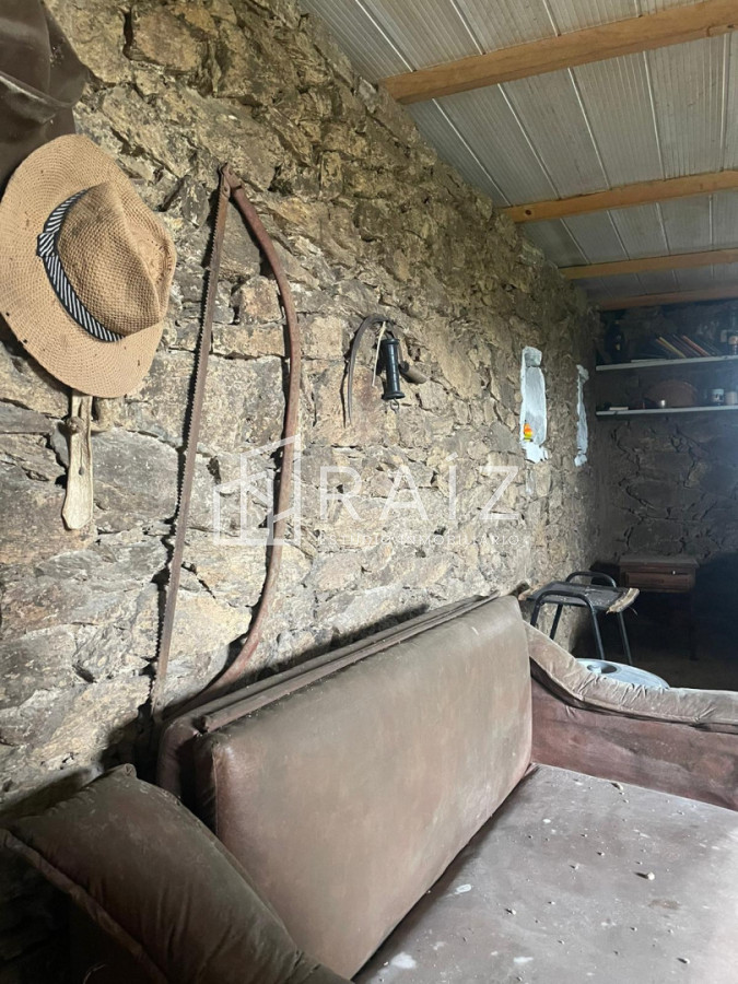 Chacra ID.11627 - Venta chacra en Rocha 