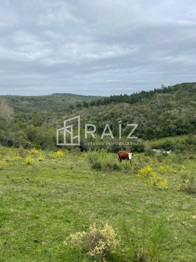 Chacra ID.11627 - Venta chacra en Rocha 