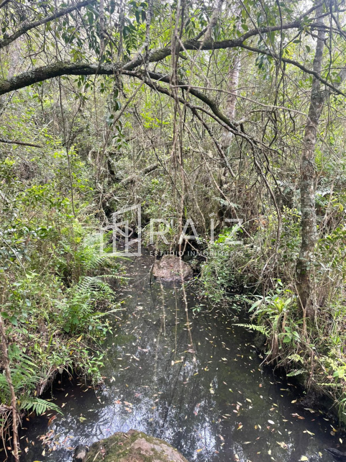 Chacra ID.11627 - Venta chacra en Rocha 