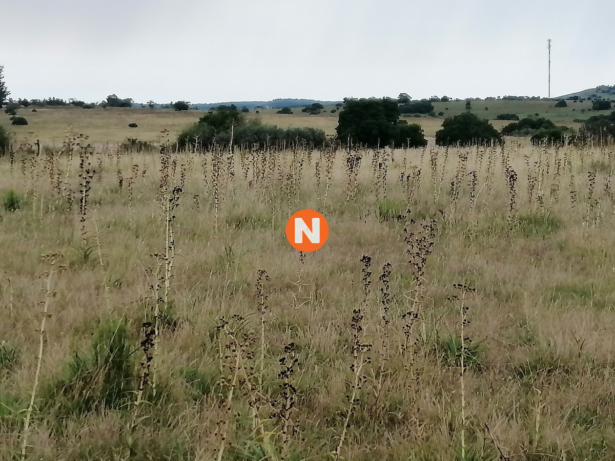 Chacra Ref.224014 - Venta chacras en Pueblo Edén 