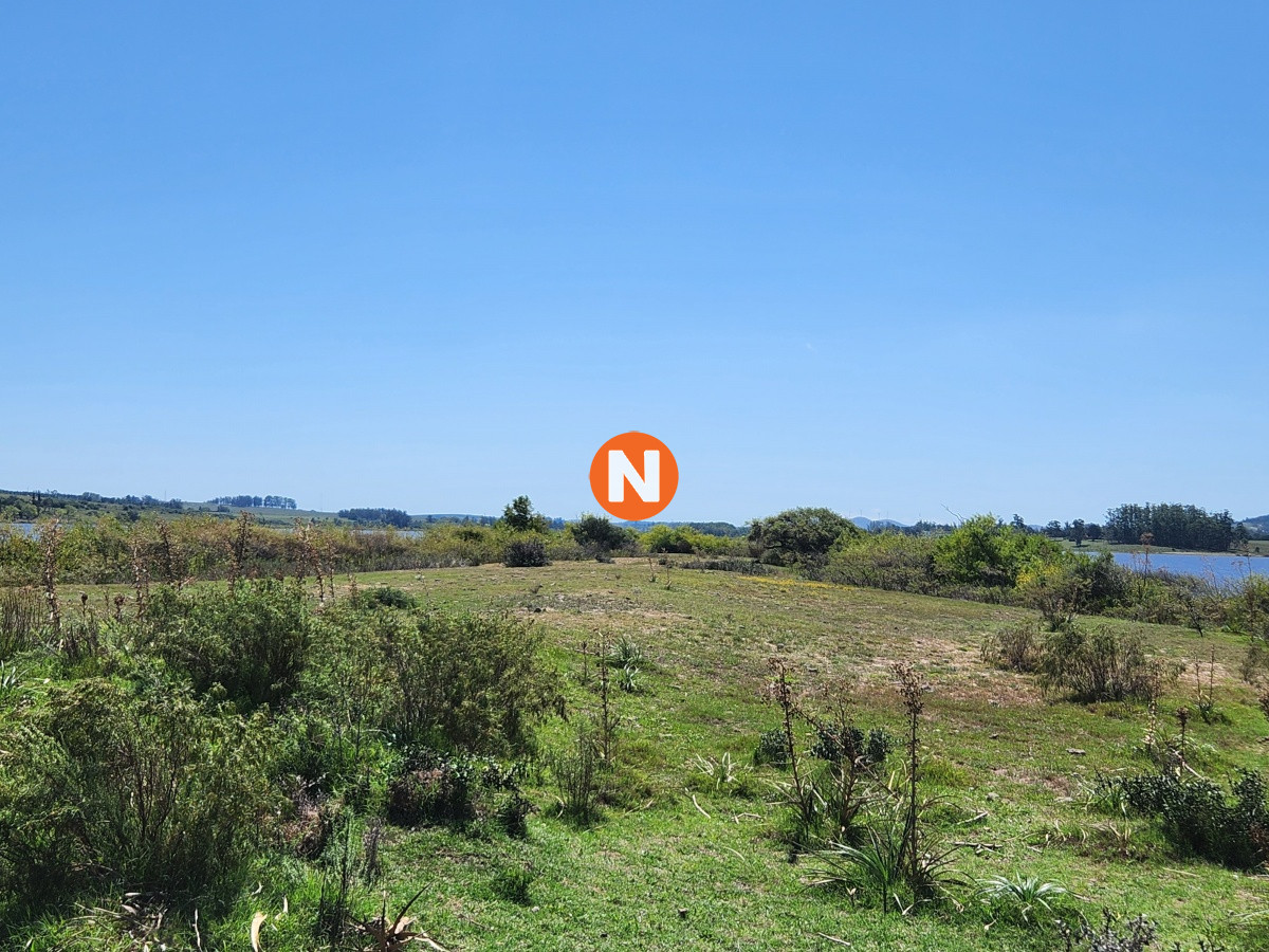 Chacra Ref.223090 - Venta chacra sobre Laguna del Sauce 