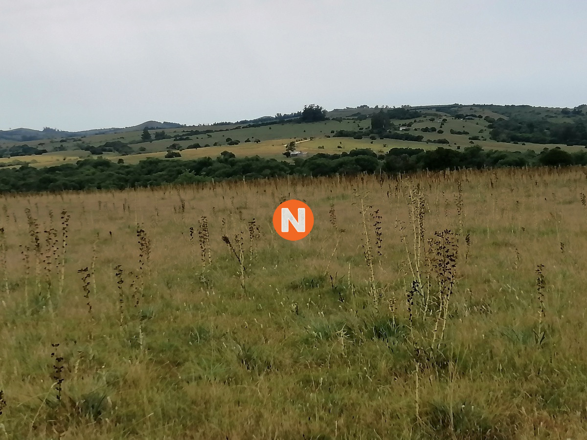 Chacra Ref.224014 - Venta chacras en Pueblo Edén 