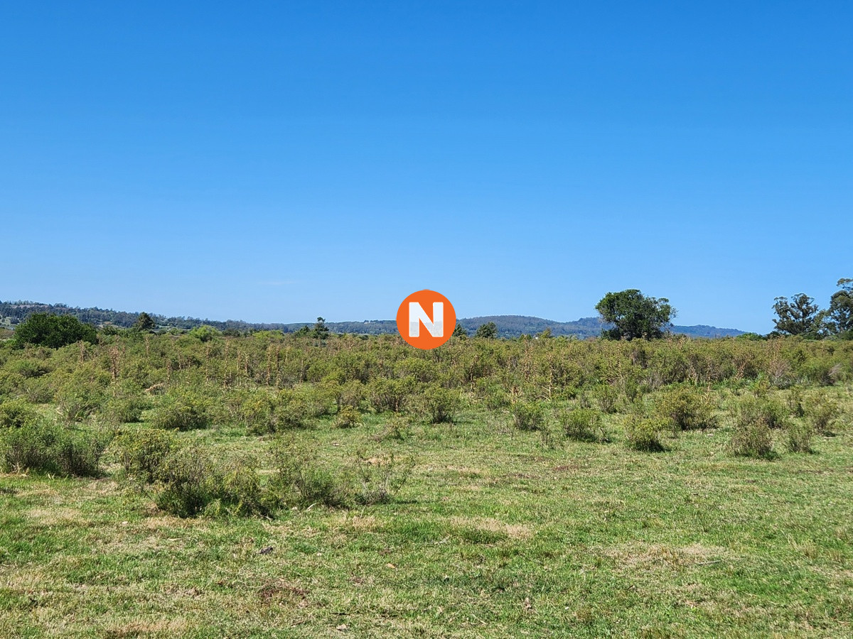 Chacra Ref.223090 - Venta chacra sobre Laguna del Sauce 