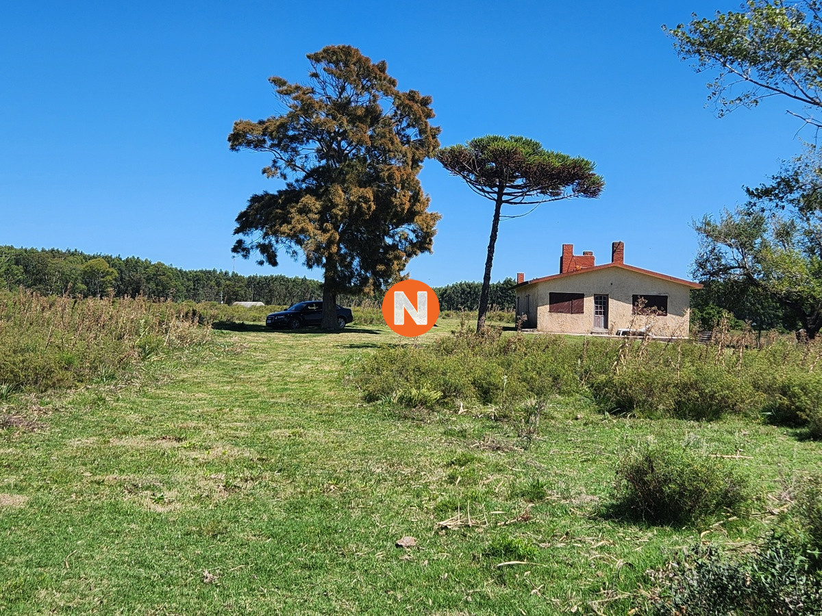 Chacra Ref.223090 - Venta chacra sobre Laguna del Sauce 