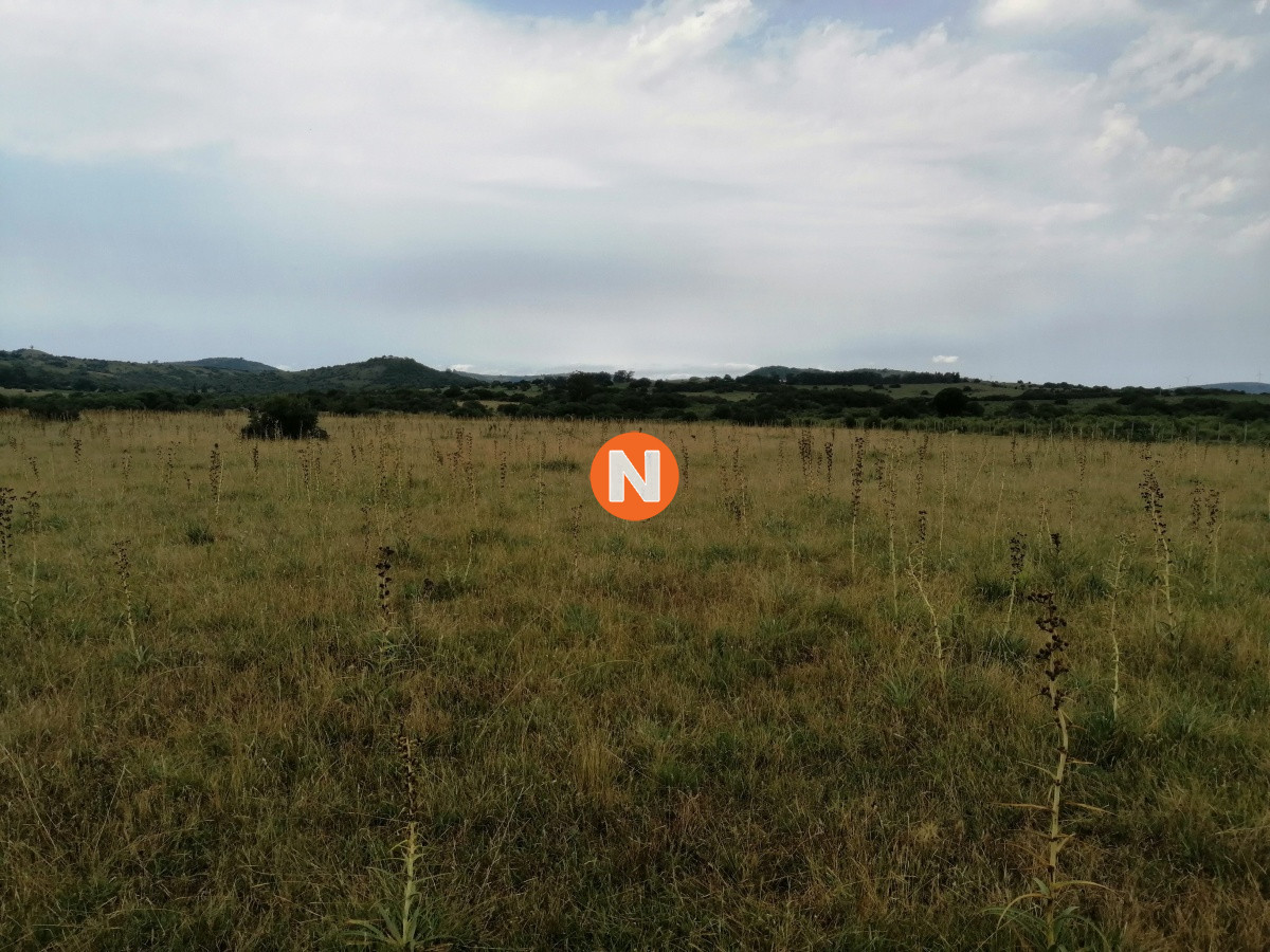 Chacra Ref.224014 - Venta chacras en Pueblo Edén 