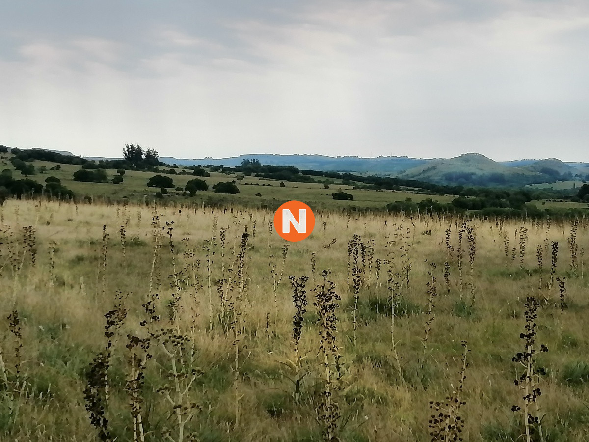 Chacra Ref.224014 - Venta chacras en Pueblo Edén 