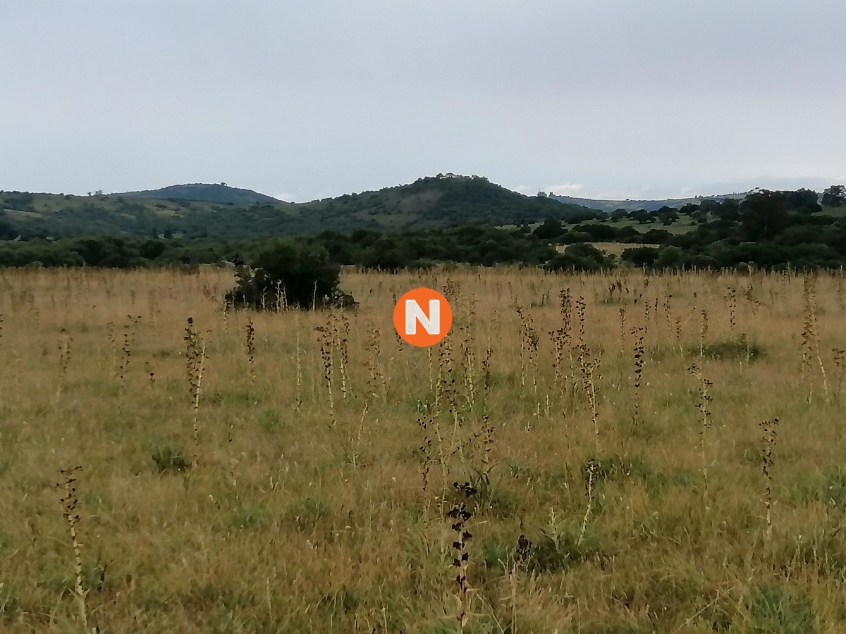 Chacra Ref.224014 - Venta chacras en Pueblo Edén 