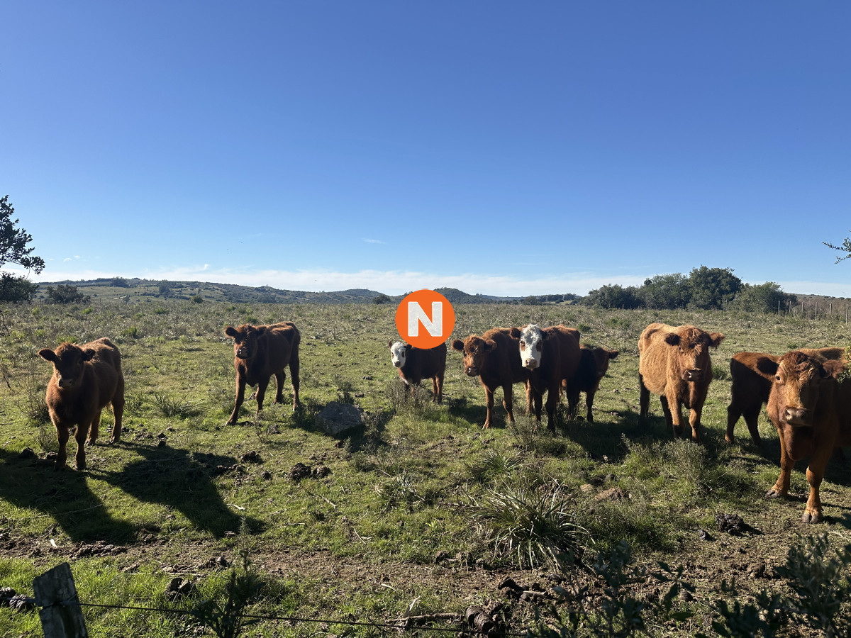 Chacra Ref.224015 - Venta Chacra en Pueblo Edén, Maldonado 