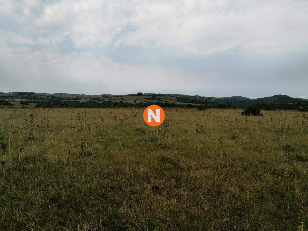 Chacra Ref.224014 - Venta chacras en Pueblo Edén 