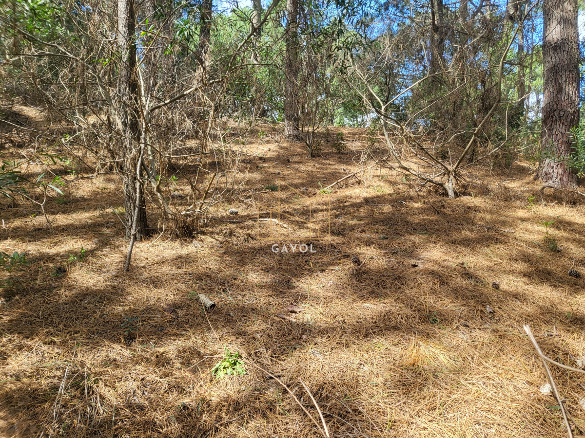 Terreno ID.1332 - Lote sobre cancha de golf