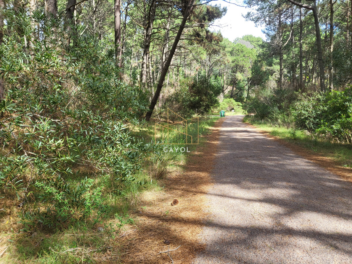 Terreno ID.1332 - Lote sobre cancha de golf