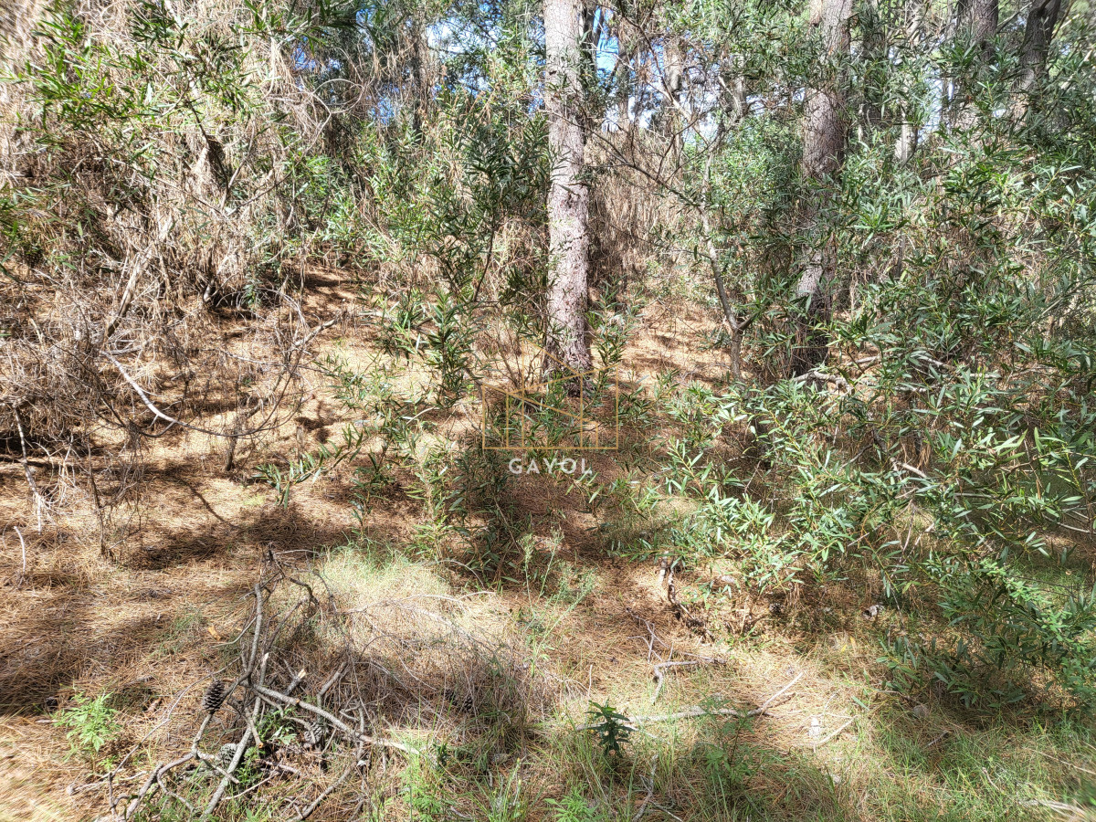 Terreno ID.1332 - Lote sobre cancha de golf