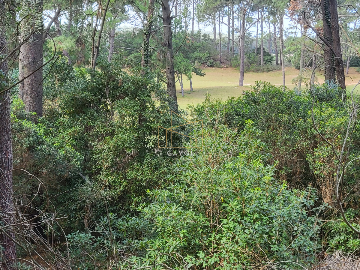 Terreno ID.1332 - Lote sobre cancha de golf