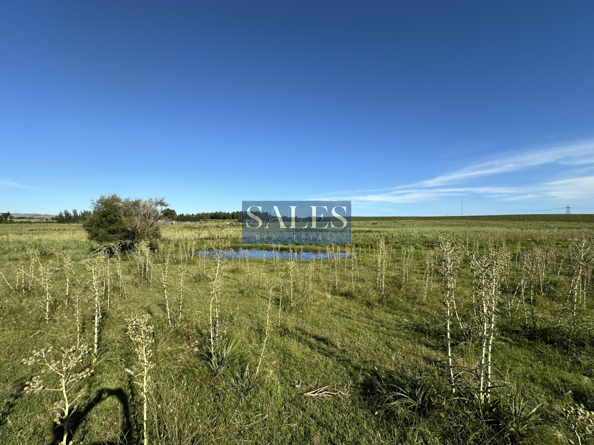 Chacra ID.680 - Venta chacra cercana a Pueblo Edén 