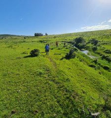 Venta chacras pueblo edén