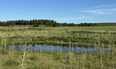 Venta chacra cercana a Pueblo Edén